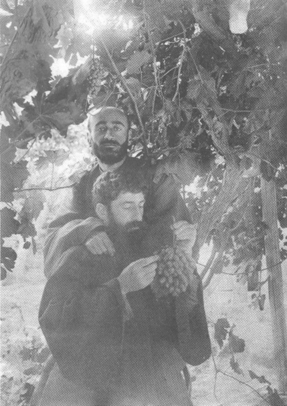 Komitas aux grappes de raisin - Carte postale